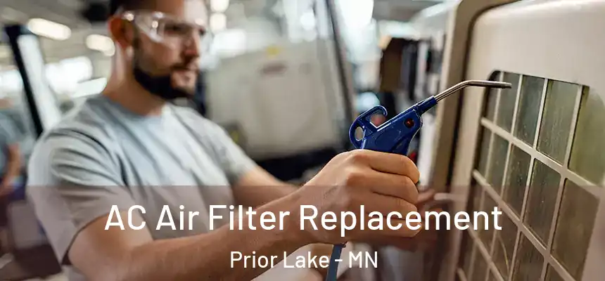  AC Air Filter Replacement Prior Lake - MN