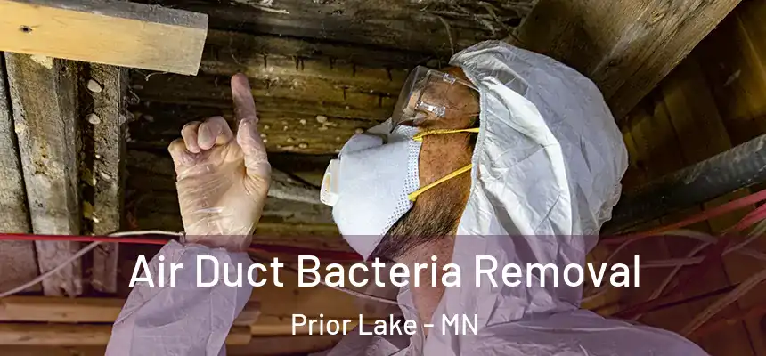 Air Duct Bacteria Removal Prior Lake - MN