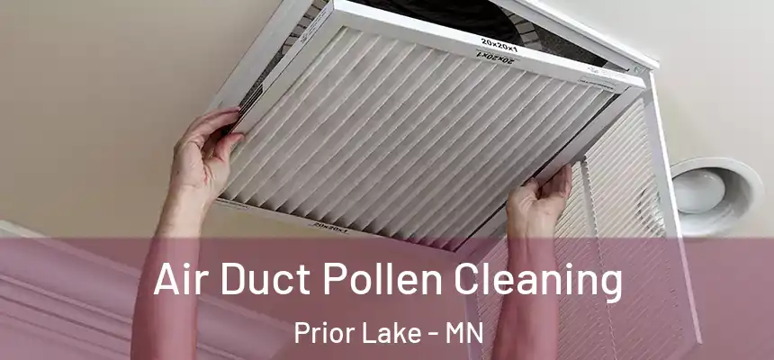 Air Duct Pollen Cleaning Prior Lake - MN