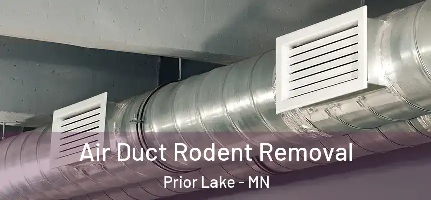 Air Duct Rodent Removal Prior Lake - MN