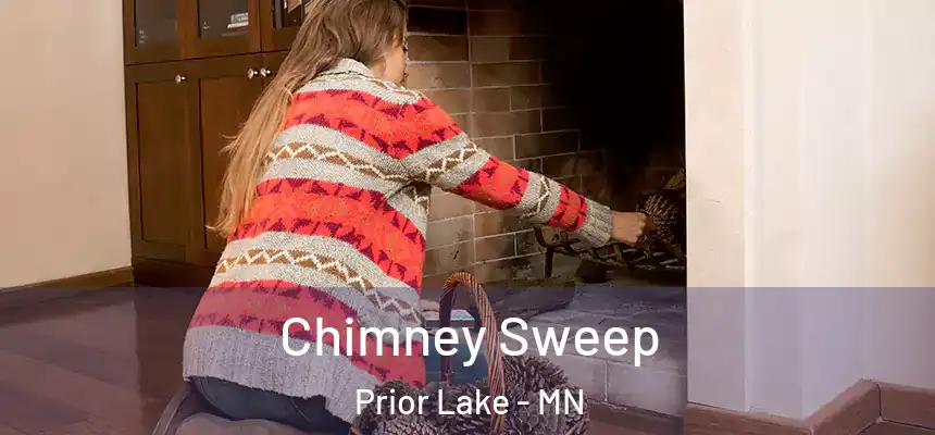  Chimney Sweep Prior Lake - MN