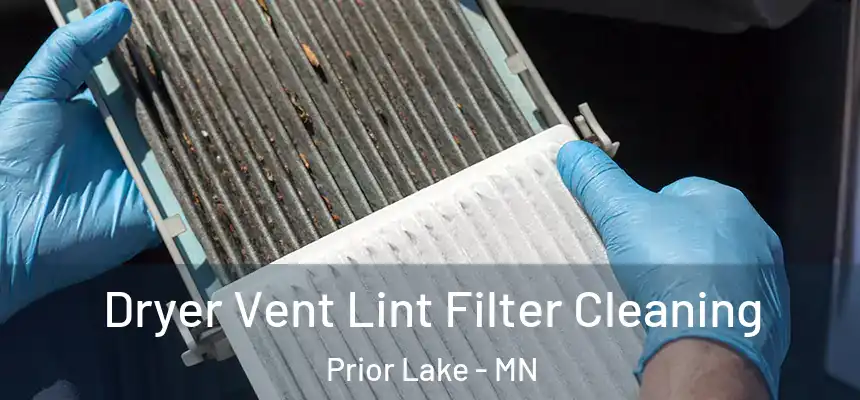 Dryer Vent Lint Filter Cleaning Prior Lake - MN