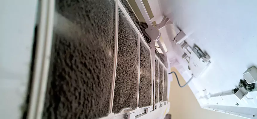 Preventive Air Duct Bacteria Removal in Prior Lake