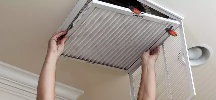 Preventive Cockroach-Proofing for Ducts in Prior Lake