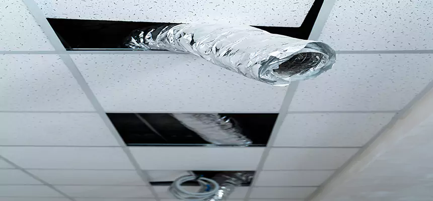 Affordable HVAC Sanitizing After Pest Removal in Prior Lake