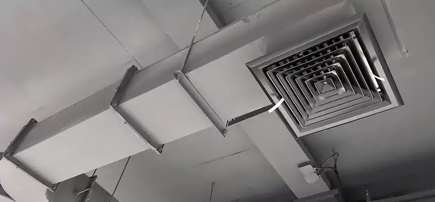 Restorative Allergy Relief Vent Cleaning – Coil, Blower & Housing Detail in Prior Lake