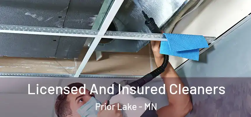 Licensed And Insured Cleaners Prior Lake - MN