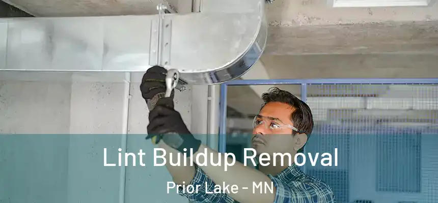 Lint Buildup Removal Prior Lake - MN
