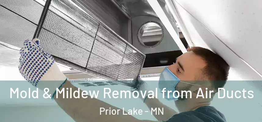 Mold & Mildew Removal from Air Ducts Prior Lake - MN