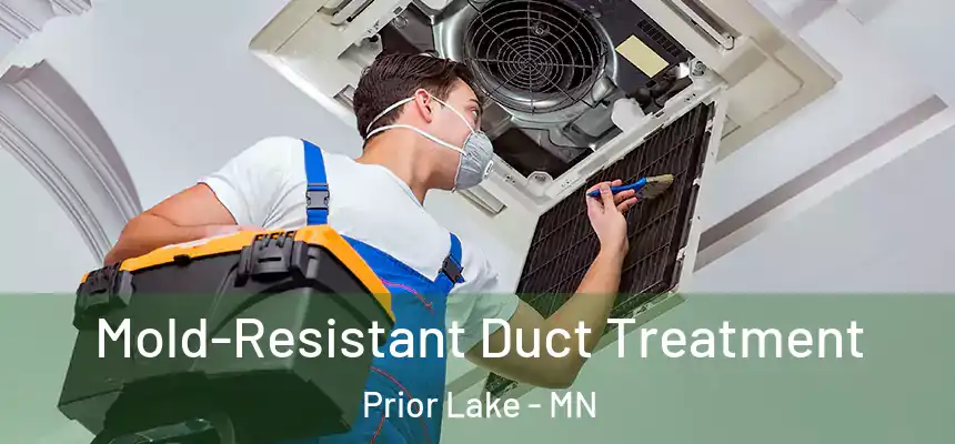  Mold-Resistant Duct Treatment Prior Lake - MN