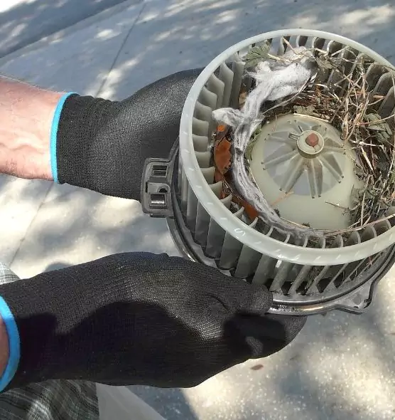 About Air Duct Rat Removal in Prior Lake, MN