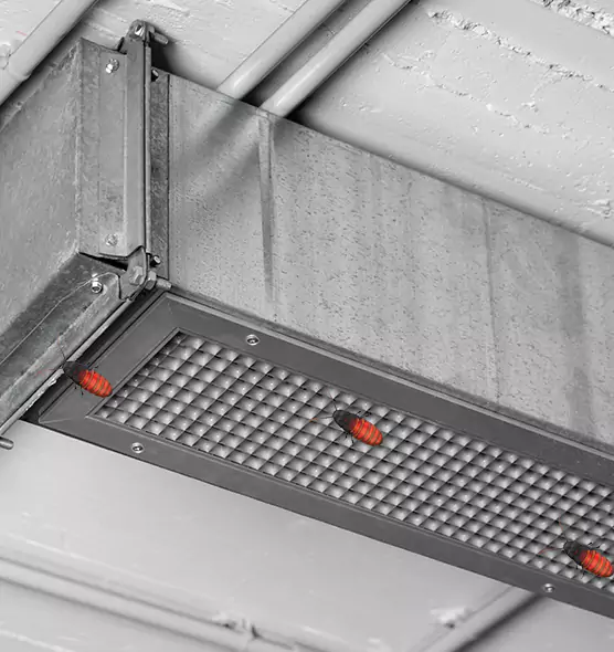 Affordable Insect Removal from Air Ducts in Prior Lake, MN