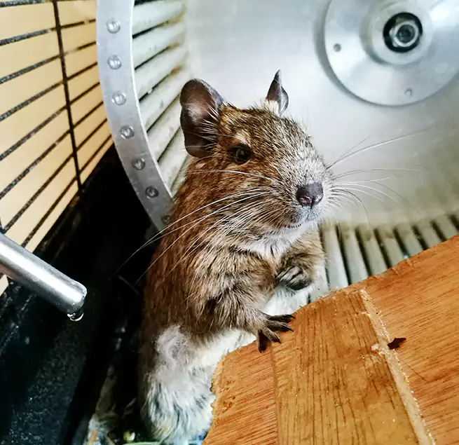 Why Homeowners & Businesses Trust Us Prior Lake, MN