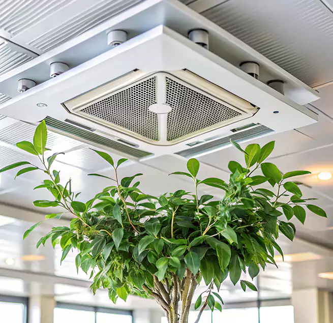 Why Homeowners & Businesses Trust Us in Prior Lake, MN